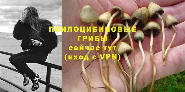 СК Алексеевка
