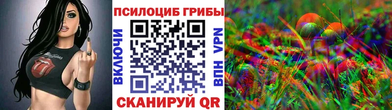 Галлюциногенные грибы Magic Shrooms  наркота  Тогучин 